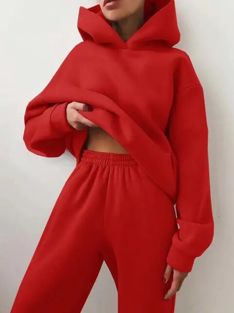 Cozy Hoodie and Sweatpants Set