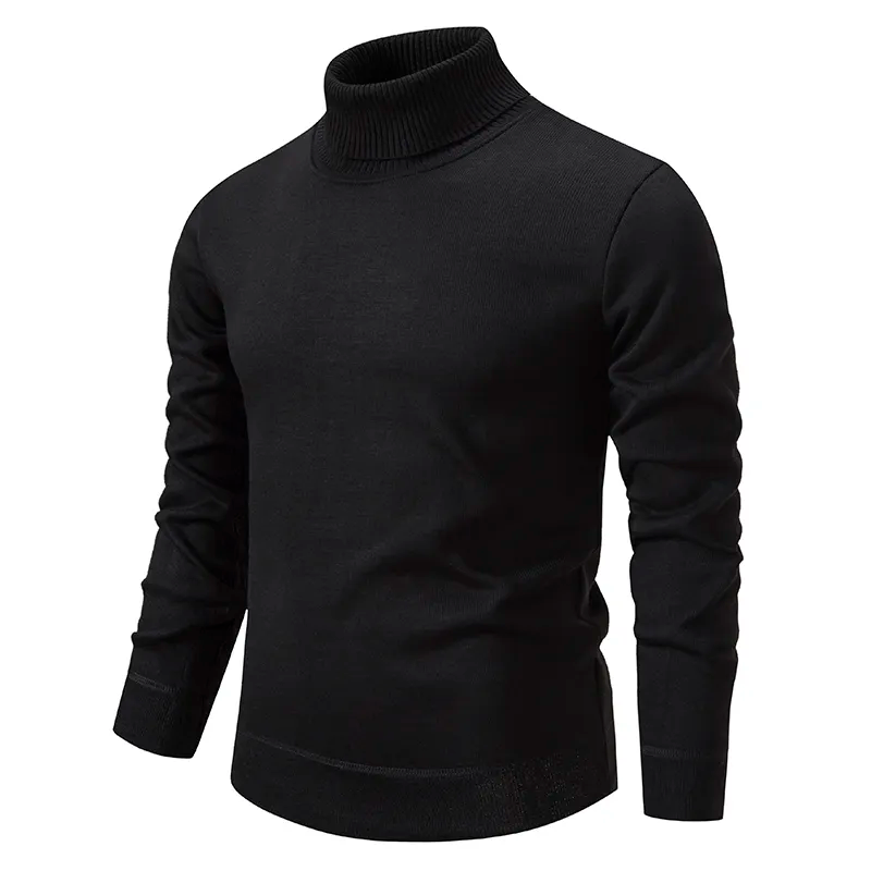 Sebastian | 100% Wool Turtleneck Pullover