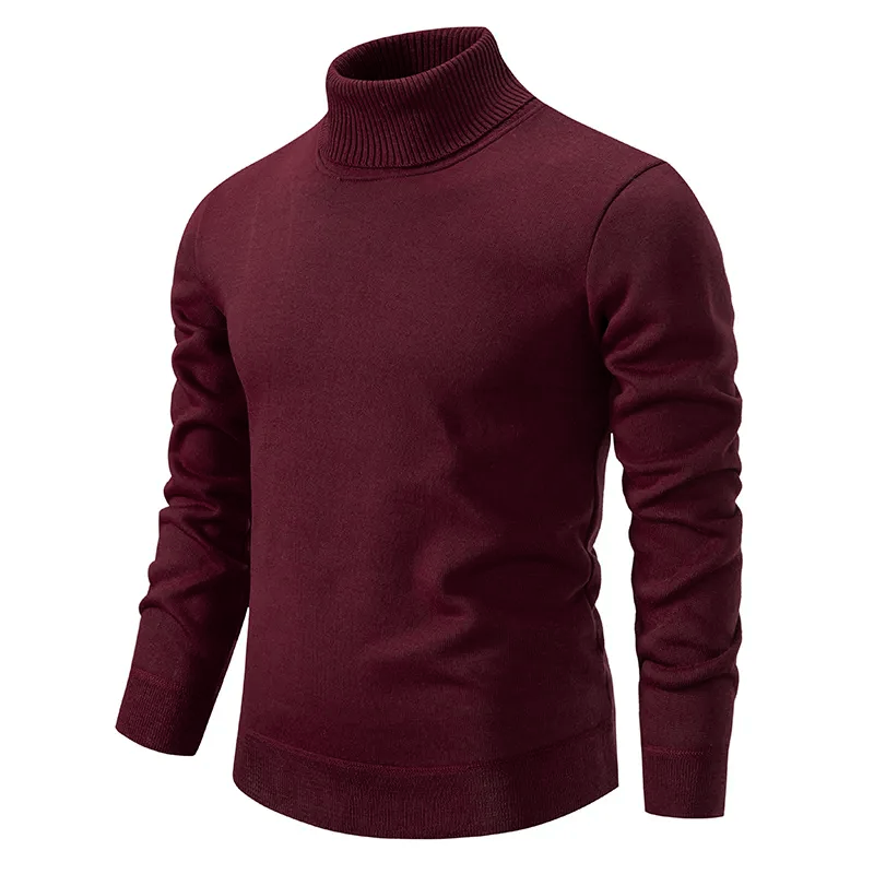 Sebastian | 100% Wool Turtleneck Pullover
